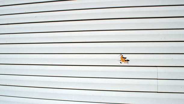 Best Shed Removal  in Hanceville, AL